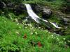 Wildflowers and Cool Waters, Mount Adams, Washin
